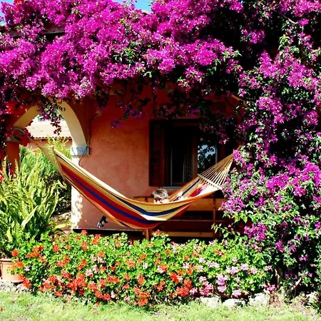 Bouganville * San Teodoro (Sardinia)